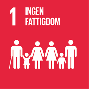 Sustainable-Development-Goals_icons-01.png