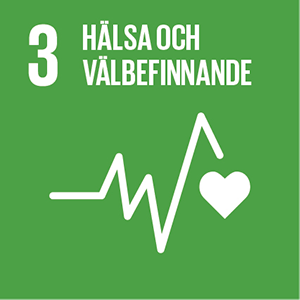 Sustainable-Development-Goals_icons-03.png