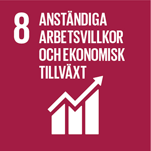 Sustainable-Development-Goals_icons-08.png