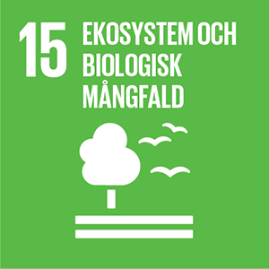 Sustainable-Development-Goals_icons-15.png
