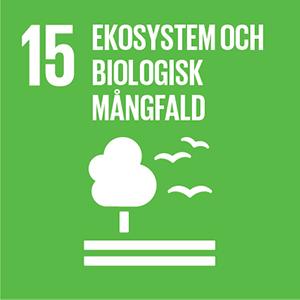Globalt hållbarhetsmål – Ekosystem och biologisk mångfald