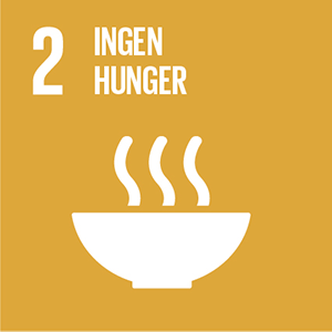 Globalt hållbarhetsmål – Ingen hunger