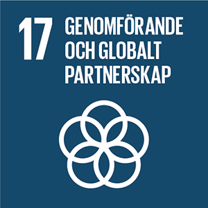 Globalt hållbarhetsmål – Genomförande och globalt partnerskap