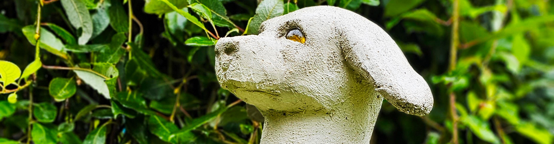 Skulptera en hund i betong