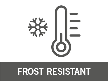 Symbol – Frostbeständig